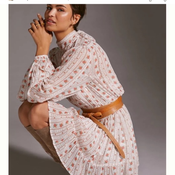 Anthropologie/Let Me Be Dresses & Skirts - 🌟🌟HOST PICK🌟🌟 Anthropologie Let Me Be Mock Neck Sheer Mini  Dress